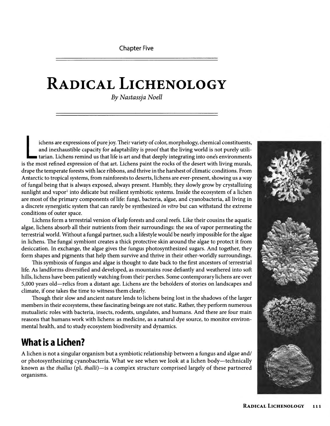 Radical Mycology Chapter 5: Lichenology
